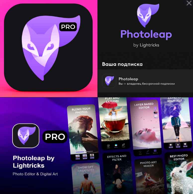 Photoleap Premium Apk İndir