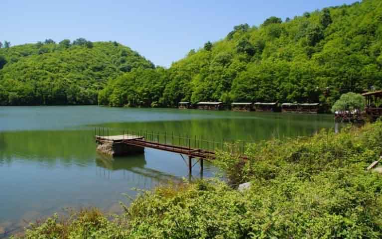 İstanbul Polonezköy Kamp alanı