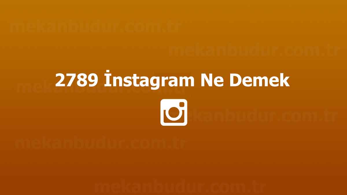 2789-nstagram-ne-demek-ne-anlama-geliyor-2023