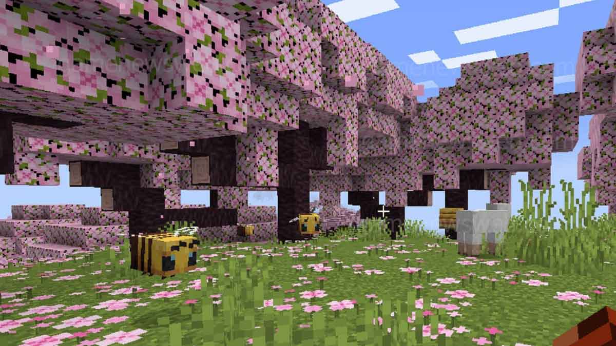 Minecraft kiraz çiçeği biyomu nasıl yetiştirilir? 1.20 güncellemesinde