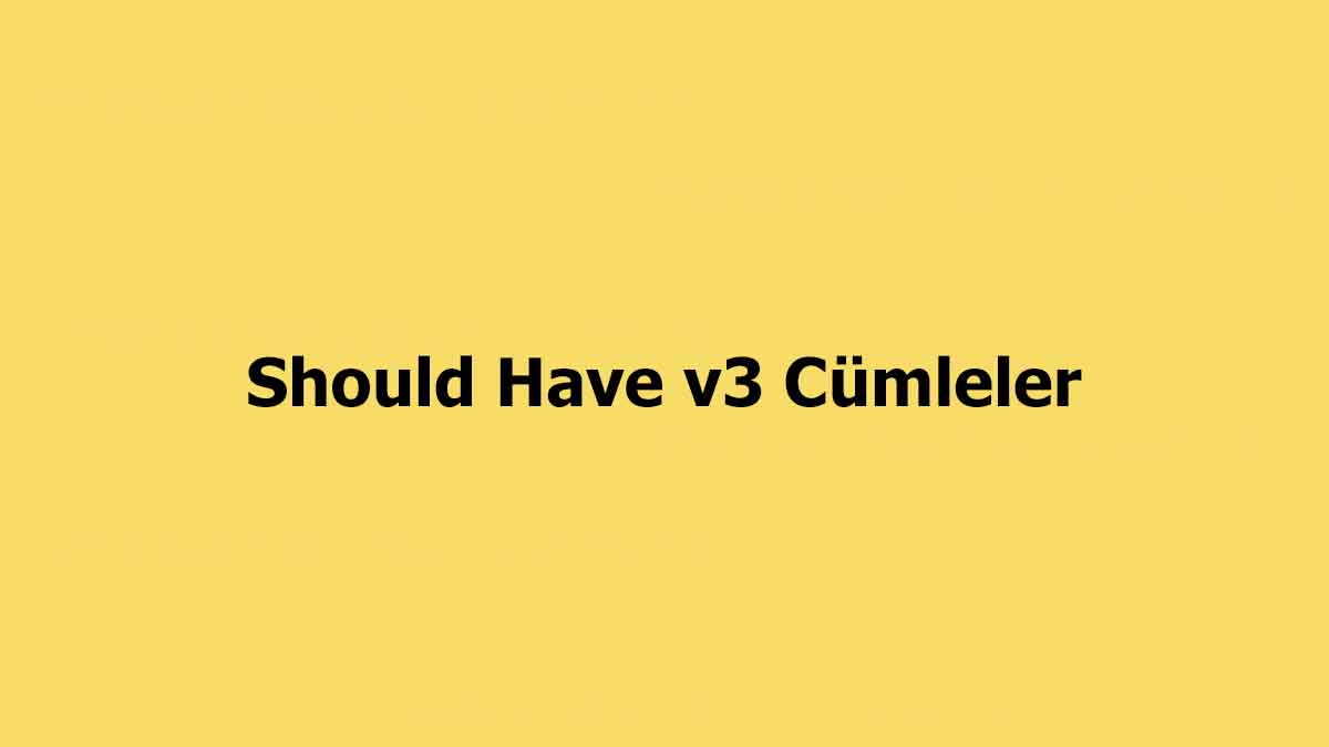 Should Have v3 Cümleler – ile ilgili cümleler nelerdir?