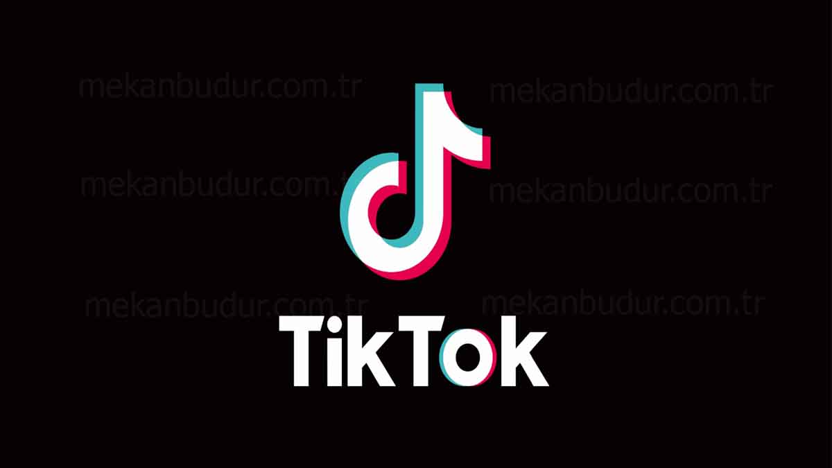 Tiktok Profilime Bakanlar Gözükmüyor – 2023 Nasıl Düzeltilir?