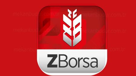 Zborsa Login Hatası