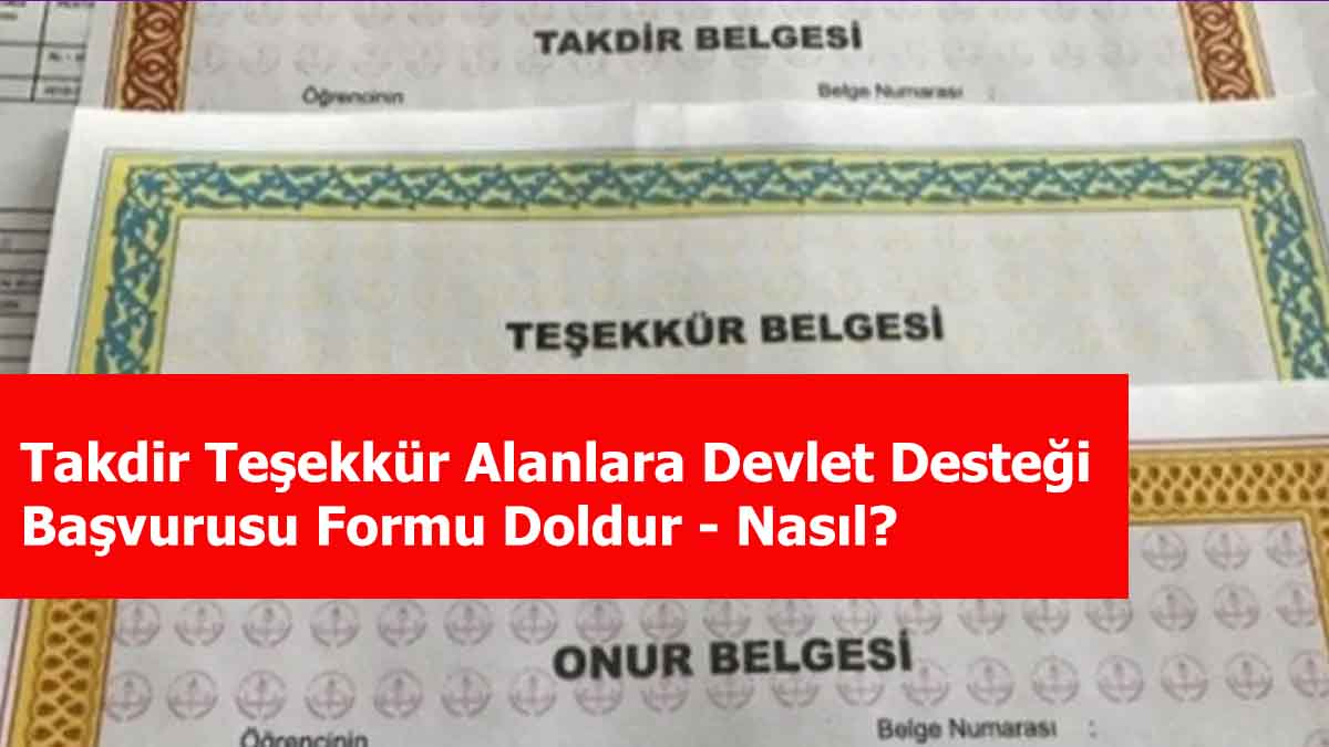 Takdir Teşekkür Alanlara Devlet Desteği Başvurusu Formu Doldur – Nasıl?