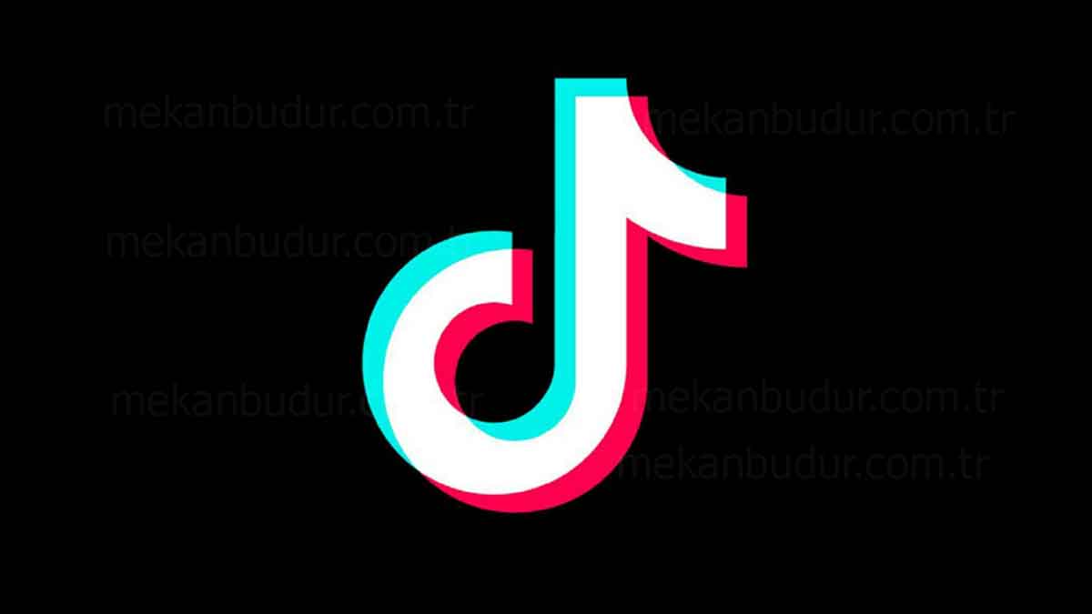 TikTok Takipçi Hilesi Programsız – Nasıl Yapılır? 2023