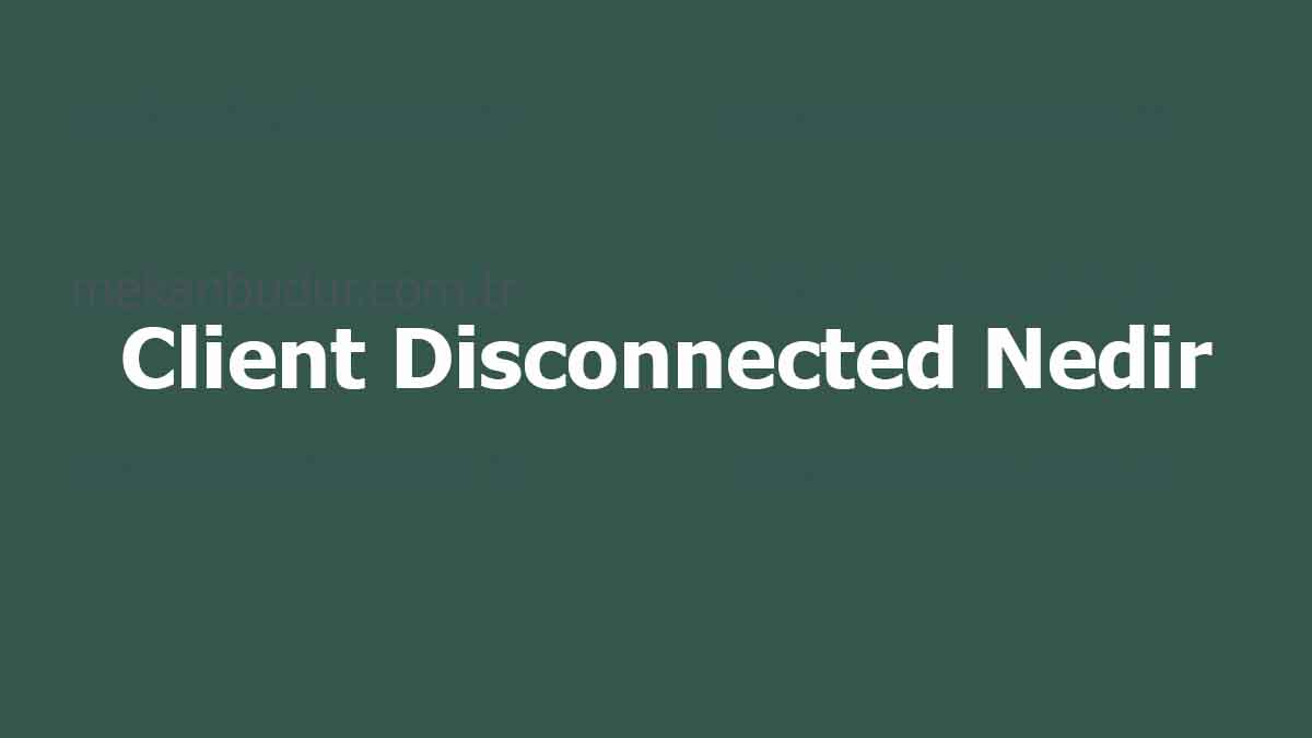 Client Disconnected Nedir? İnternet Bağlantısı Kopanların Sorunu