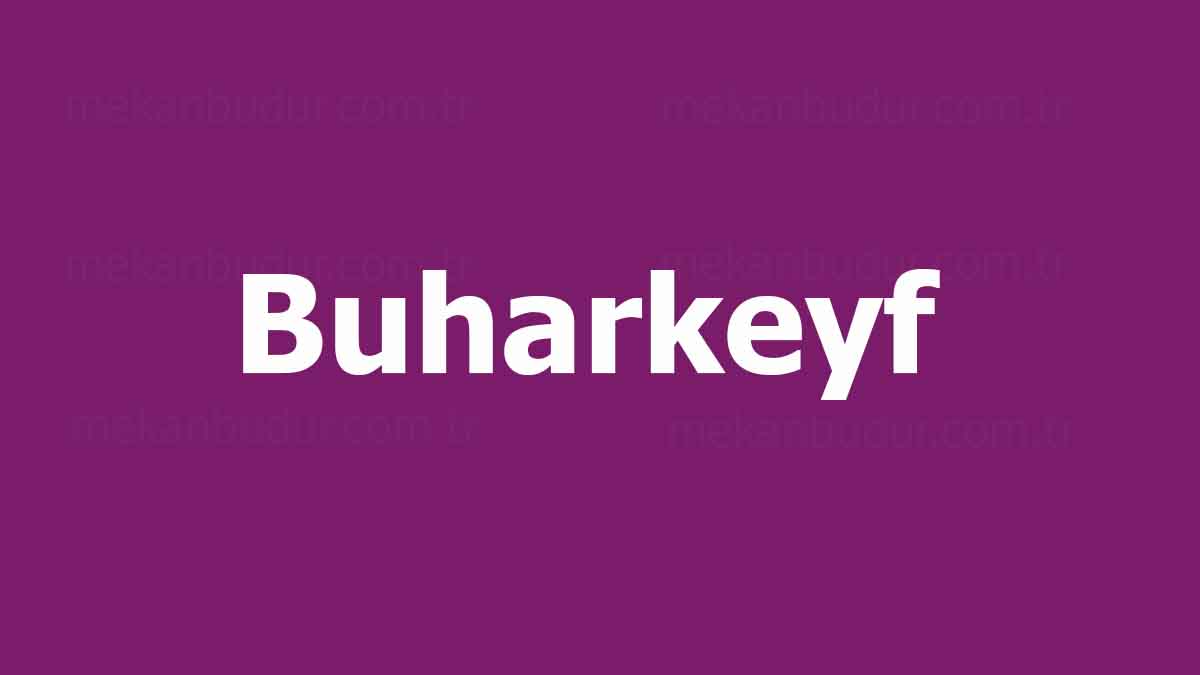 Buharkeyf Güvenilir mi? Domain ve Site İncelemesi