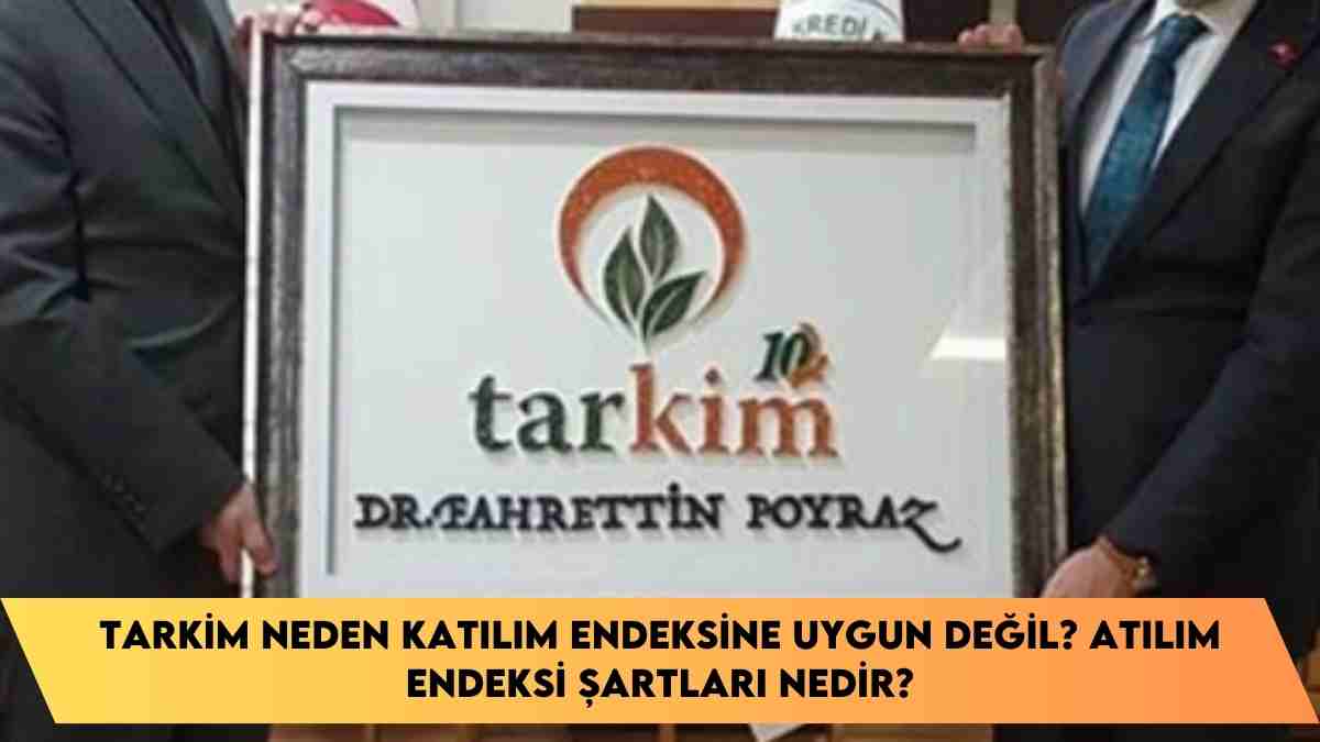 Tarkim neden katılım endeksine uygun değil? atılım endeksi şartları nedir?