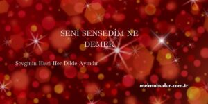 Seni sensedim ne demek