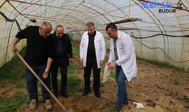 Büyükşehir’den örtü altı üreticiye destek