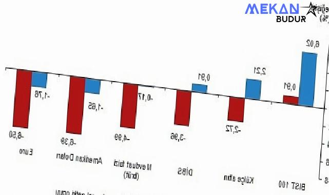 TÜİK: Aylık en yüksek reel getiri BIST 100 endeksinde oldu