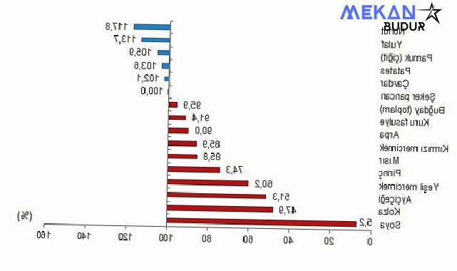 Tüik: Bitkisel ürünlerde en yüksek yeterlilik derecesi %683,5 ile fındıkta gerçekleşti