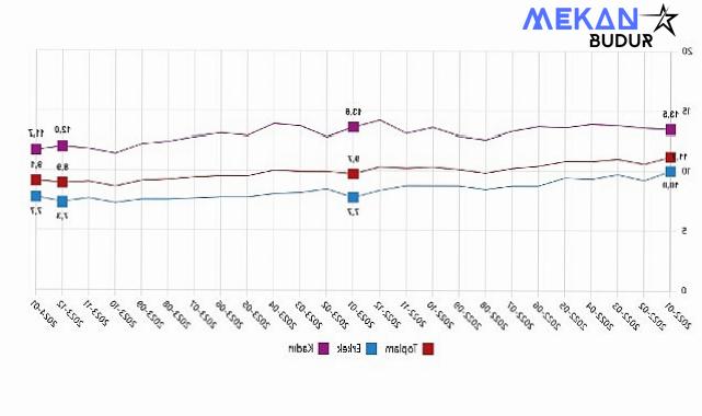 TÜİK: Mevsim etkisinden arındırılmış işsizlik oranı %9,1 seviyesinde gerçekleşti