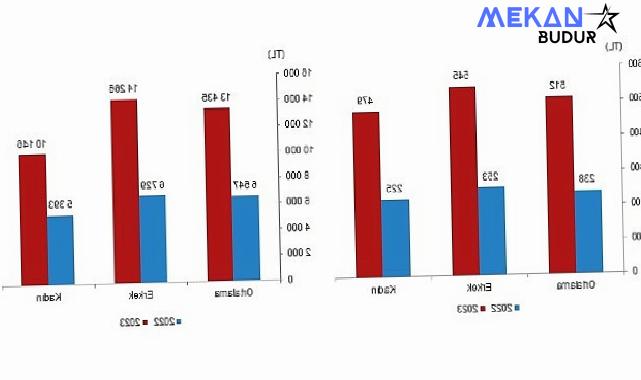 TÜİK: Mevsimlik tarım işçilerinin ortalama günlük ücretleri 2023 yılında %114,6 arttı