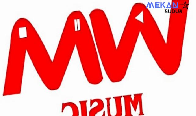 WM Music: Yenilikçi Dijital Müzik Dağıtımının Lideri