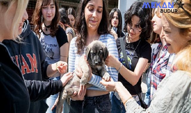 4 Nisan Dünya Sokak Hayvanları Günü PAKO’da kutlandı