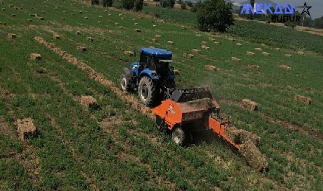 Muğla Büyükşehir Belediyesi Kaba Yem Üretim projesinde yılın ilk hasadını yaparak üreticilere 500 balya kaba yem dağıttı