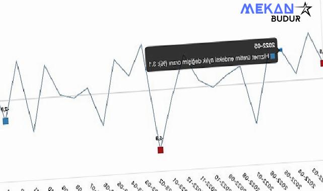 Tüik: Hizmet üretim endeksi yıllık %13,8 arttı