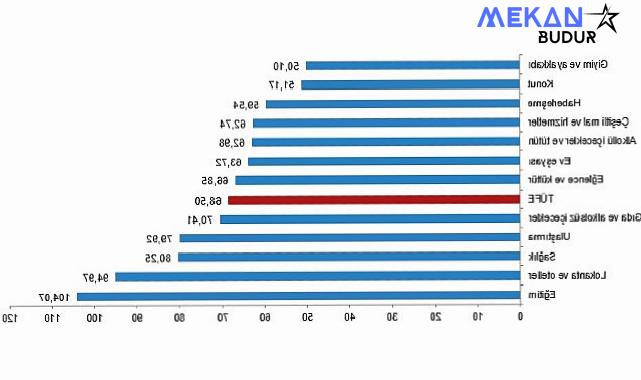 Tüik: Tüketici fiyat endeksi (TÜFE) yıllık %68,50, aylık %3,16 arttı