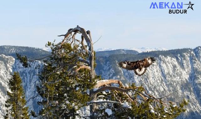 ‘Avrupa’nın Vahşi Doğası Özel’ 19 Mayıs ve 26 Mayıs Pazar 20.00’de National Geographic WILD Ekranlarında!