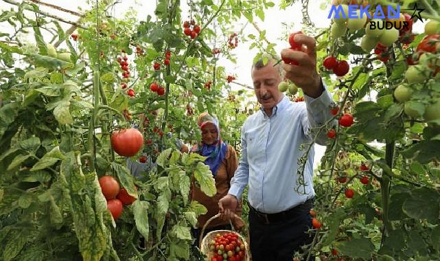 Başkan Büyükakın’dan kadın üreticiye tam destek