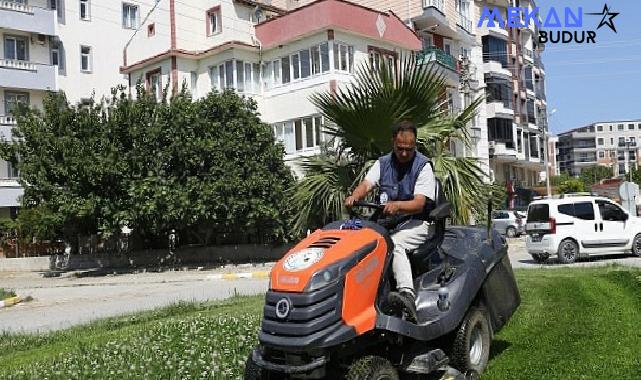 Burhaniye Belediyesi Park ve Bahçeler Müdürlüğü ekipleri, ilçe genelindeki yeşil alanlar ve parklarda bakım çalışmalarını sürdürüyor