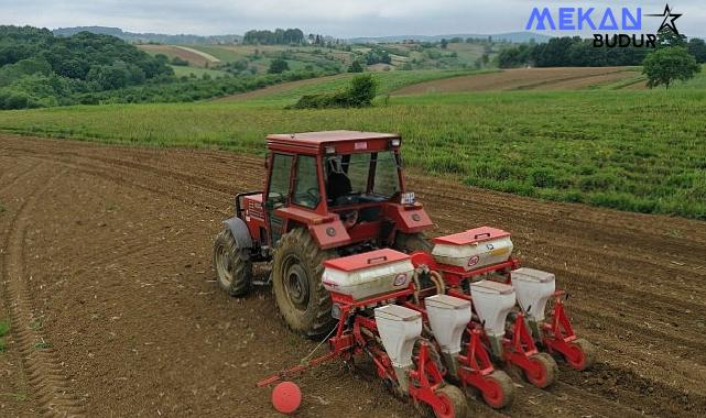 Kocaeli’de mısır tohumları toprakla buluşuyor