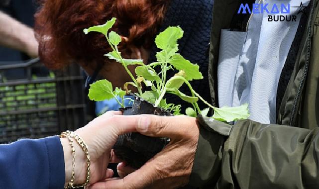 Lüleburgaz Belediyesinin serasında atalık tohumlardan elde ettiği 12 bin 500 adet sebze fidesi 14 Mayıs saat 12.00’da Kongre Meydanında vatandaşla paylaşılacak