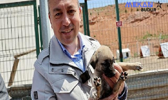 Sivas Belediye Başkanı Dr. Adem Uzun Sokak Hayvanları Bakım ve Rehabilite Merkezi’ni ziyaret etti