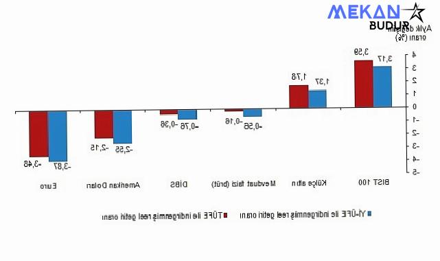 Tüik: Aylık en yüksek reel getiri BIST 100 endeksinde oldu