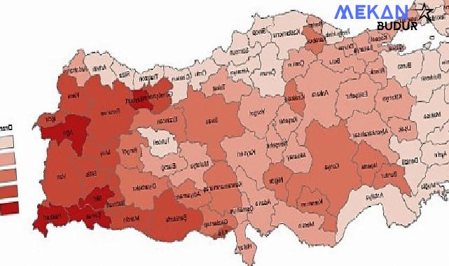 Tüik: Türkiye nüfusunun %15,1’ini genç nüfus oluşturdu