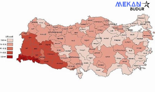 Tüik: Yükseköğretim mezunlarının oranı 25 yaş ve üzeri nüfusta %24,6 oldu