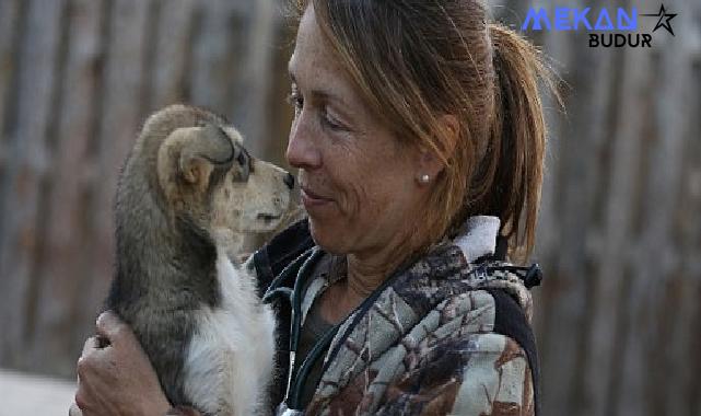 ‘Yukon Veterineri’ne Saygı Özel Bölümü National Geographic WILD Ekranlarında!