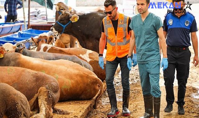 Buca’da kurban pazarlarında sıkı denetim