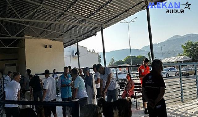 Büyükşehir Mezbahaları Kurban Bayramı’na Hazır