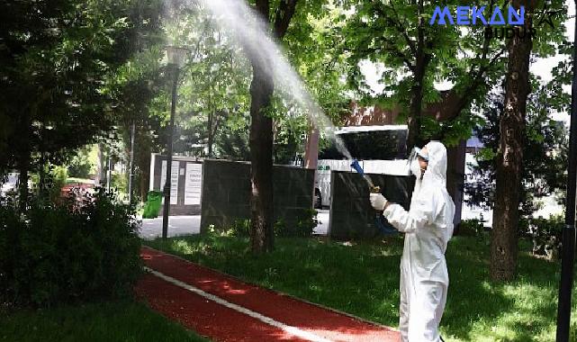 Çankaya Belediyesi havaların ısınmasıyla birlikte ilçe genelinde ilaçlama çalışmalarına hız verdi