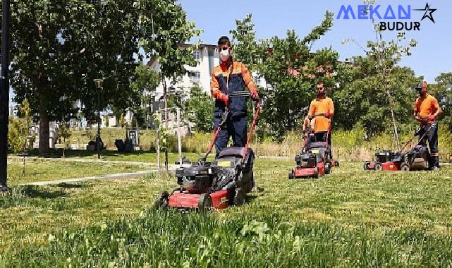 Çankaya Belediyesi yaz aylarına girdiğimiz bu günlerde parkları vatandaşların kullanımına hazırlıyor