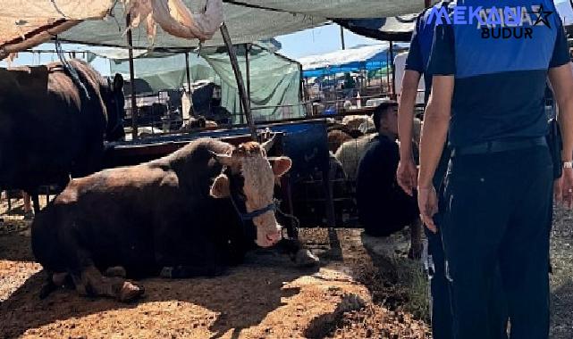 Çiğli Belediyesi Bayram Boyunca Denetimlerini Sürdürüyor