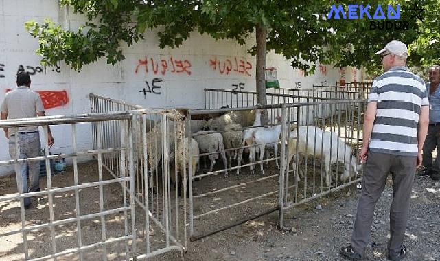 Edremit Belediyesi Kurban Bayramı’na hazır