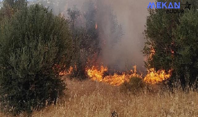 İzmir İtfaiyesi teyakkuzda