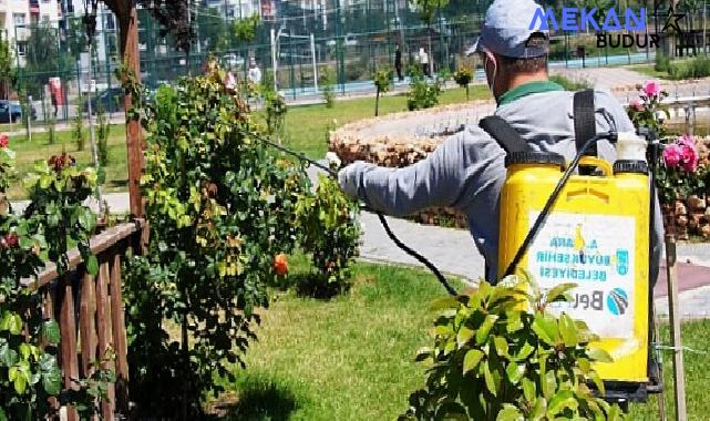 Keçiören Belediyesi yaz aylarının başlamasıyla sinek ve haşere oluşumuna karşı ilaçlama seferberliği başlattı