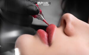 lip tint nasıl kullanılır?