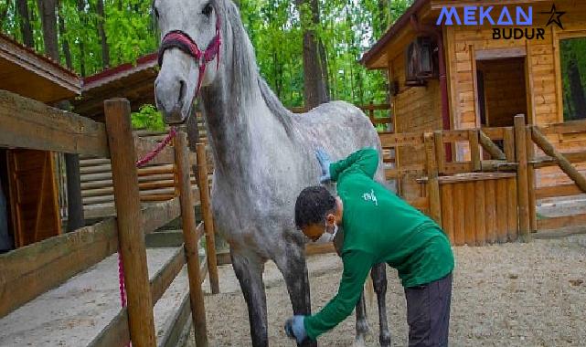 Ormanya bayramda ziyaretçilerini bekliyor