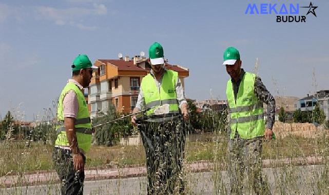 Selçuklu Belediyesi Çevre ve Sıfır Atık Platformu Çevre Haftası çerçevesinde temizlik etkinliği düzenledi