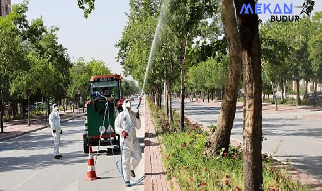 Selçuklu Belediyesi Sağlık İşleri ile Park ve Bahçeler Müdürlüğü ekipleri sağlıklı ve temiz bir çevrenin temini için tüm ilçede haşerelere karşı periyodik olarak ilaçlama çalışmalarını sürdürüyor