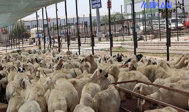 Selçuklu Belediyesi vatandaşların Kurban Bayramı’nı rahat ve huzurlu bir şekilde geçirmesi için tüm hazırlıkları tamamladı