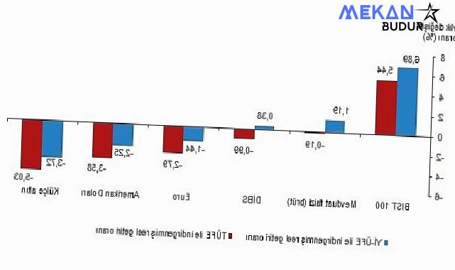 Tüik: Aylık en yüksek reel getiri BIST 100 endeksinde oldu