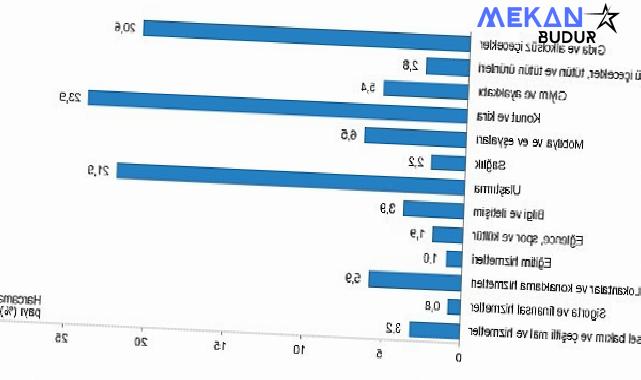 Tüik: Hanehalkı bütçesinden en fazla pay konut ve kira harcamalarına ayrıldı