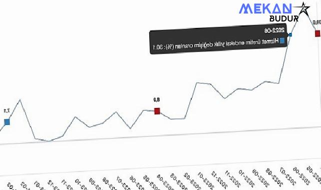 Tüik: Hizmet üretim endeksi yıllık %2,3 arttı