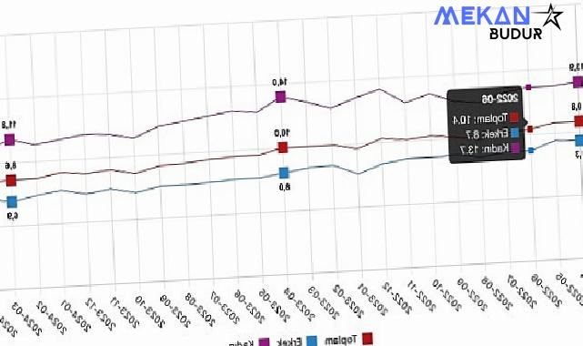 Tüik: Mevsim etkisinden arındırılmış işsizlik oranı %8,5 seviyesinde gerçekleşti